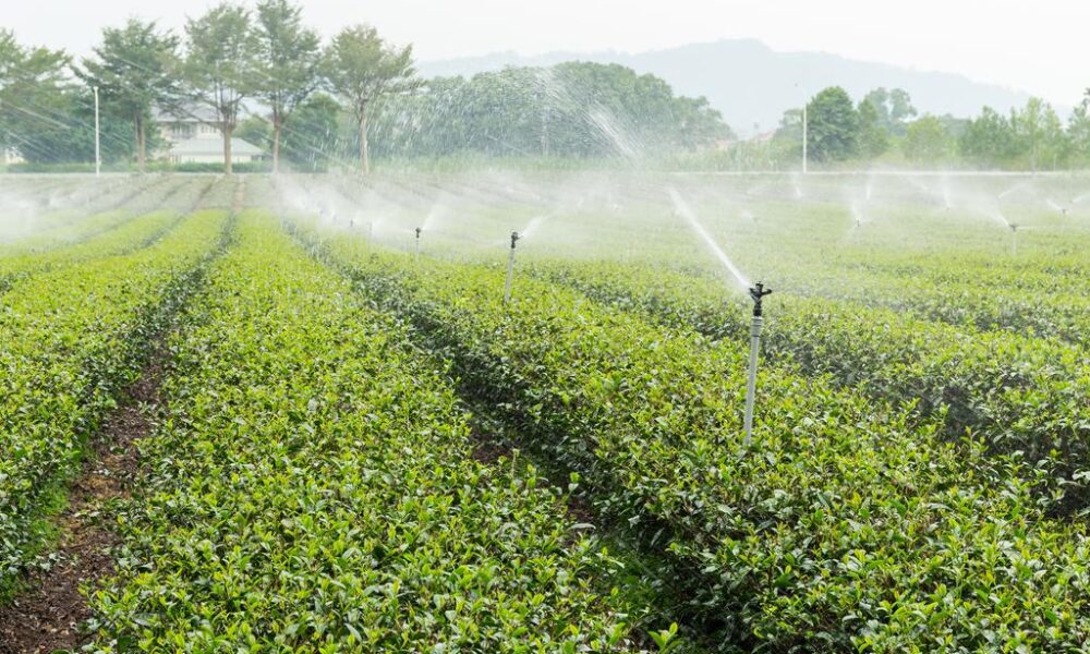 revolutionizing-water-efficiency:-the-role-of-modern-irrigation-in-sustainable-living